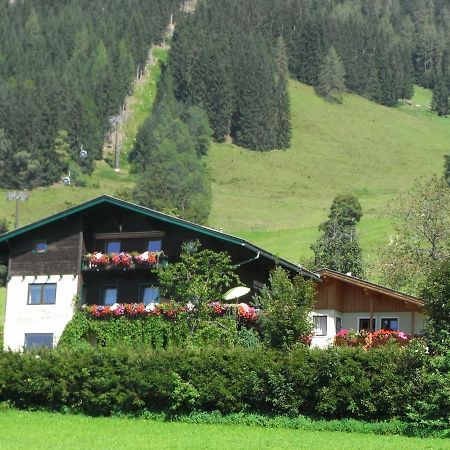 Ferienhaus Regina Werfenweng Kültér fotó