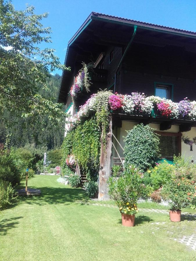 Ferienhaus Regina Werfenweng Kültér fotó