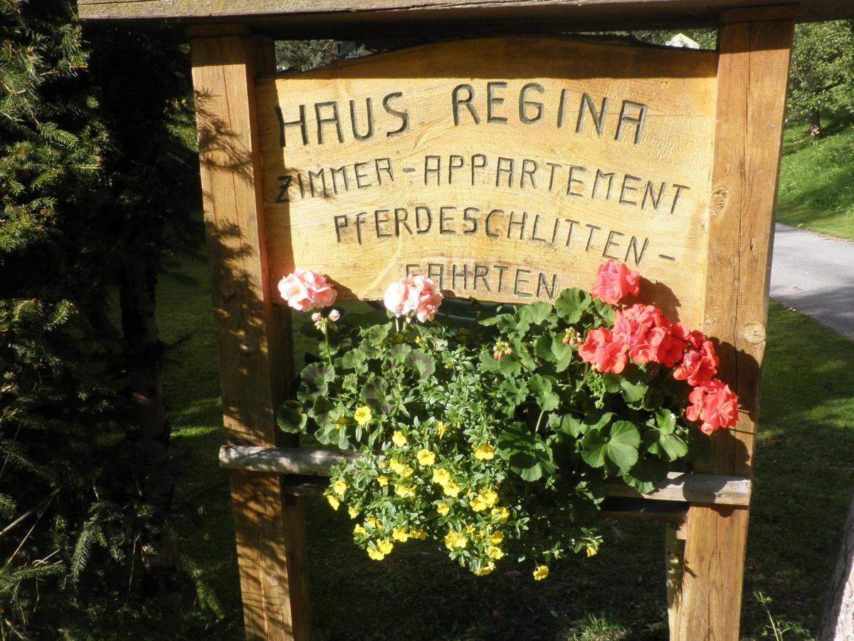 Ferienhaus Regina Werfenweng Kültér fotó